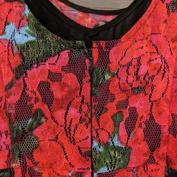 Anthropologie Tracy Reese Noisette Red Roses Floral Lace Tulle Dress Size 2 - Picture 8 of 15